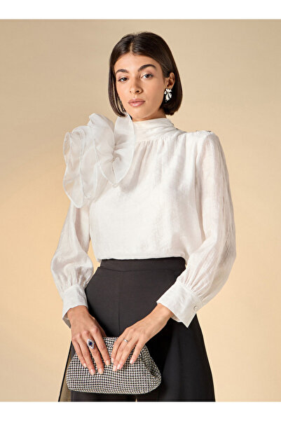 Iconic Floral Applique Top With High Neck And Long Sleeves