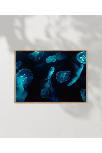 VOGLOO Sea Animals Poster