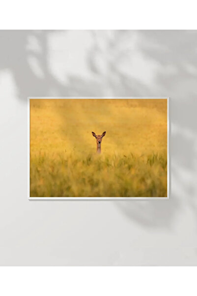 VOGLOO Deer in the Golden Field Poster