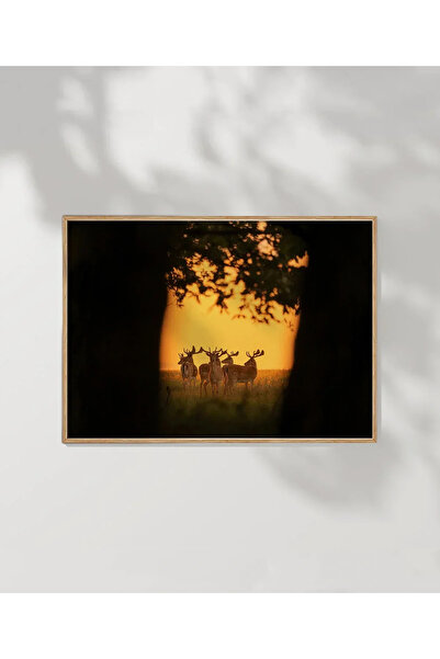 VOGLOO Gazelles at Sunset Poster