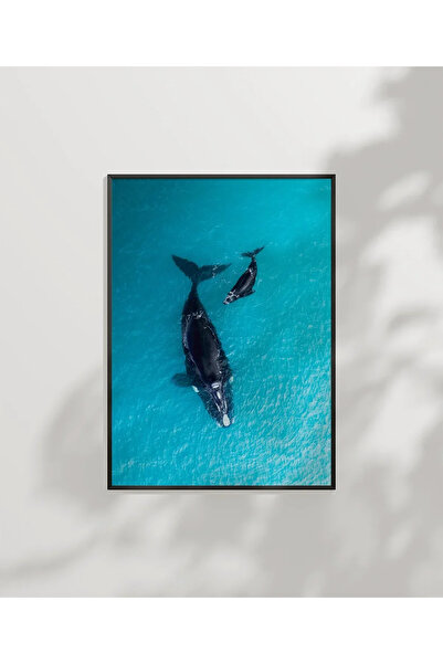 VOGLOO Whales Floating in the Blue Sea Poster