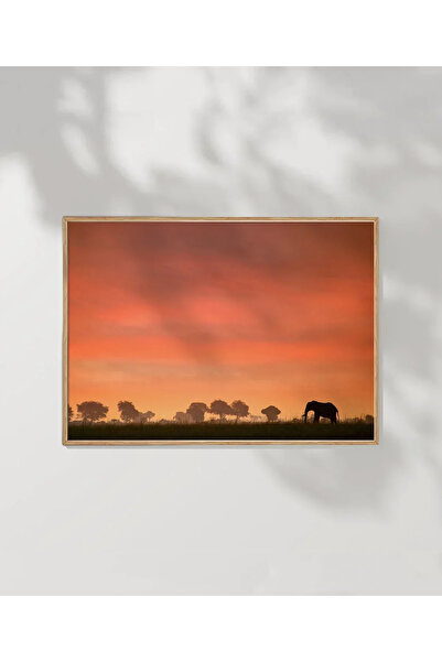 VOGLOO African Sunset Poster