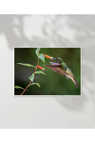 VOGLOO Nectar Banquet Poster