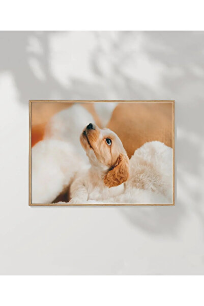 VOGLOO Puppy Dog Look Poster