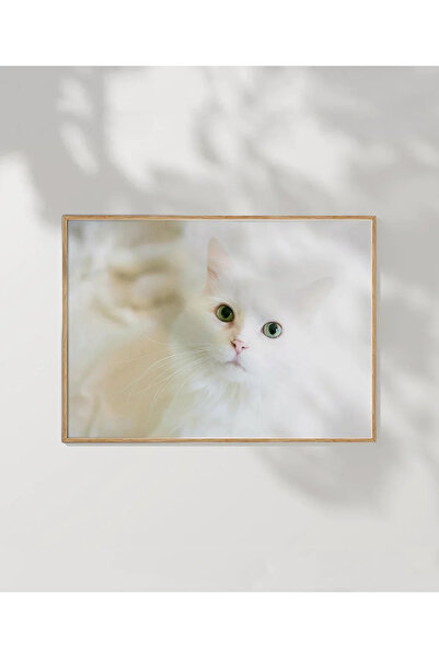 VOGLOO White Cat Poster
