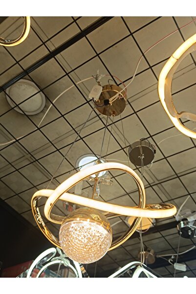 HOM Roza Avize Tek toplu Çiçek Modern LED'li Avize