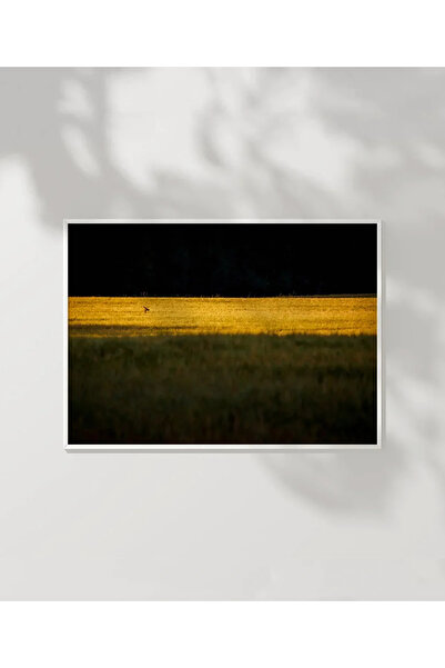 VOGLOO Bird in the Golden Field Poster