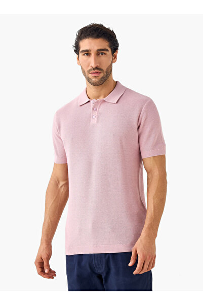 FAV بنية عظم الرنجة