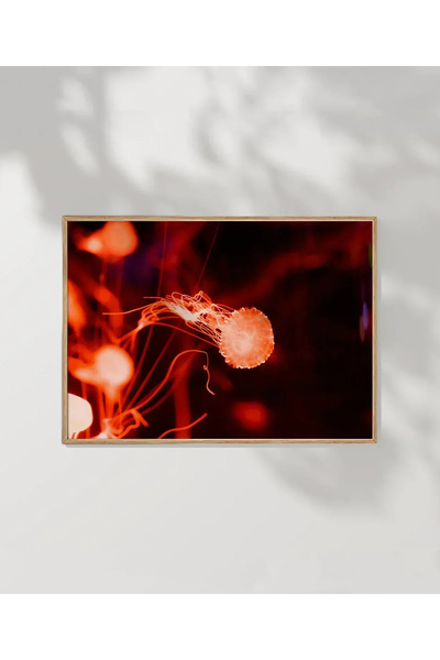 VOGLOO Jellyfish Bubbles Poster