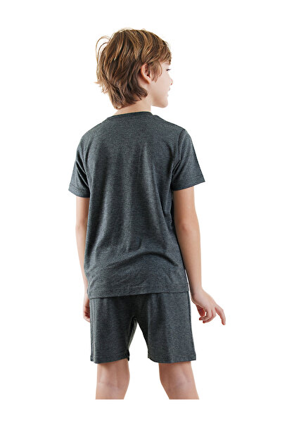 Denokids Dinosaur Boy Gray Bottom Top Pajama Set