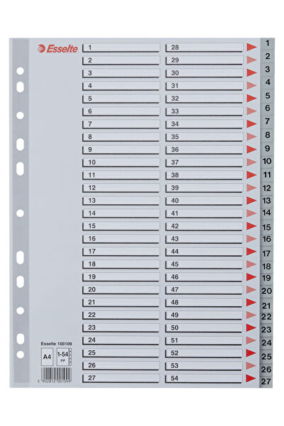 Esselte index, plastic, , A4, 1-54, grey
