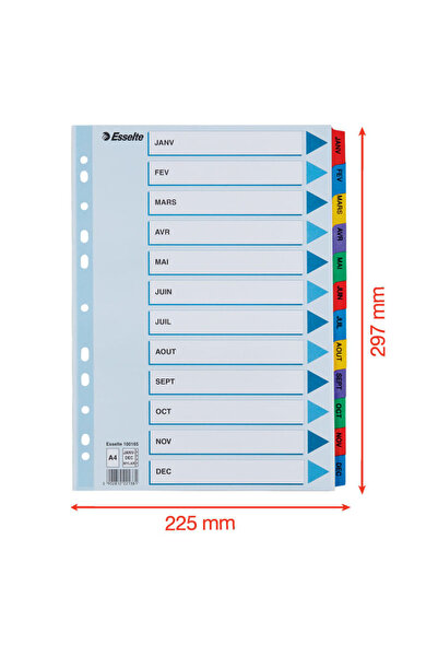 Esselte Mylar cardboard index with laminated keys A4 index January-December