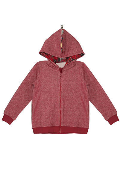 Denokids Dragon Boy Hooded Sweatshirt