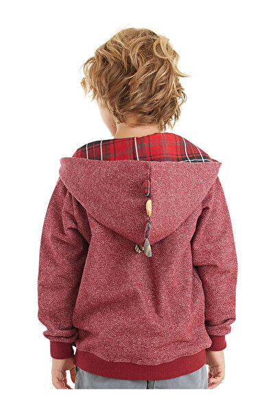 Denokids Dragon Boy Hooded Sweatshirt