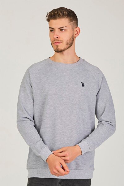 Dewberry V4003 Reglan Sleeve Men's Sweatshirt-Grey