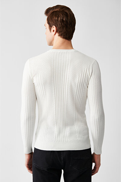 Avva Men's Ecru Crew Neck Patterned Sweater A32Y5160