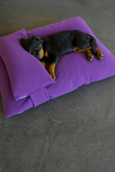 Beta kedi ve köpek minderi yatağı battaniyesi örtüsü sıcacık yumuşak