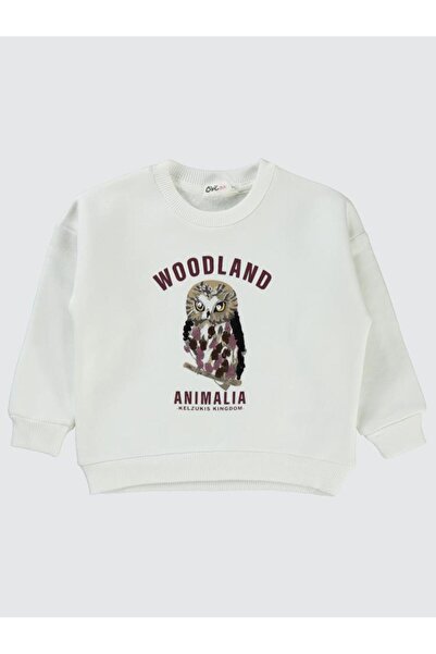 Civil Girls Φούτερ με στάμπα κουκουβάγιας με πούλιες για 2-5 ετών - Εκρού 3-4...
