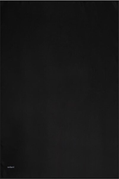 Cacharel Tivil Silk Scarf 7999313-911