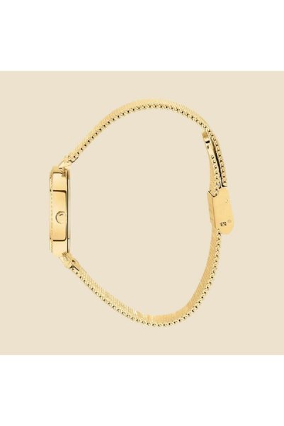 CLYDA Cla806Ddd Women's Wristwatch/Sa