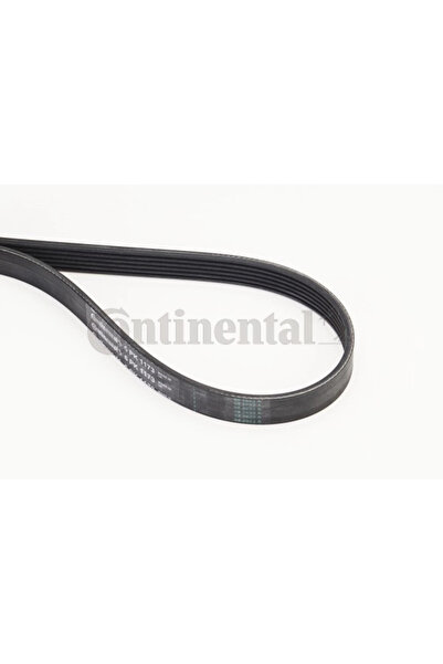 Continental Curea Transmisie Cu Caneluri Audi 80 B4/A6 C4/Cabriolet B3 Citroe...