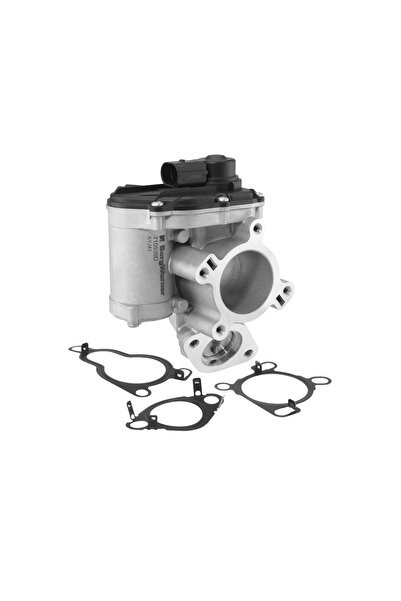 BorgWarner (Wahler) Supapa Egr Nissan 10-Trail 2/Primastar Bus/Primastar Caro...
