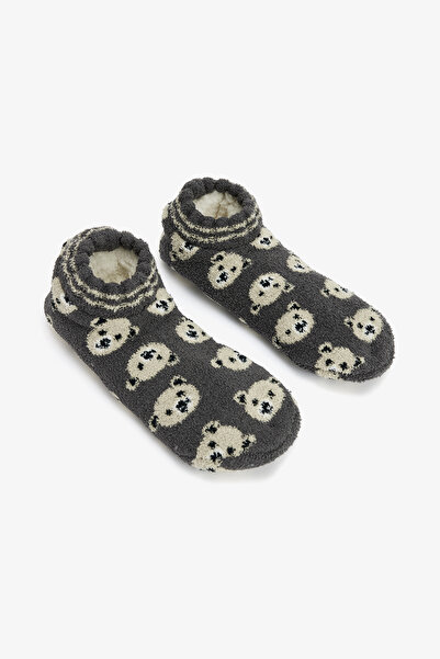 Penti Dark Gray Bear Patterned House Slippers