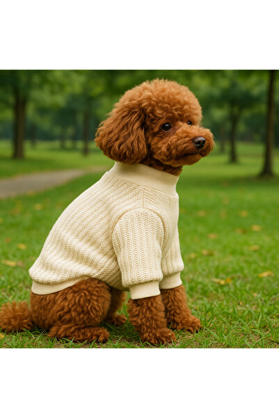 petite pati Bej rengi Köpek Kıyafeti kazak