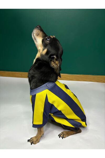 Yumuşak Tüylü Patiler Kedi-Köpek Taraftar Forması Sarı Lacivert - Küçük Irk