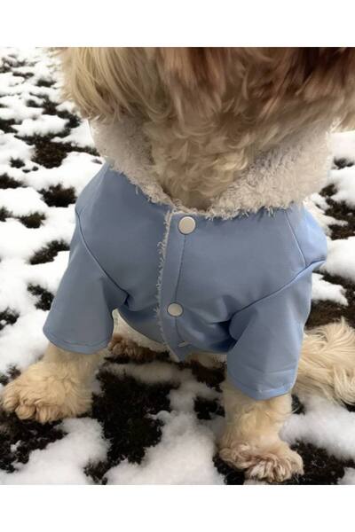 ZASEL LAND Kedi köpek mavı tavşanlı mont