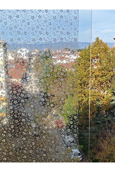 Başak Ev Tekstili Cam Filmi Kaplama Statik Folyo Buzlu Desenli Duşa Kabin Pencere Ofis Dekorasyon