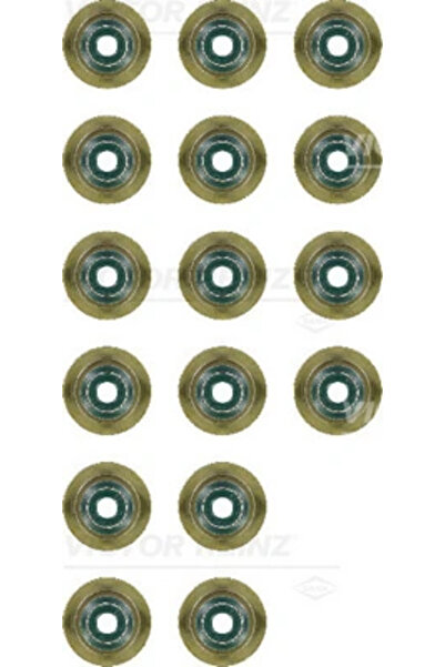 VICTOR REINZ Set Garnituri Ax Supape Bmw 1/3/5