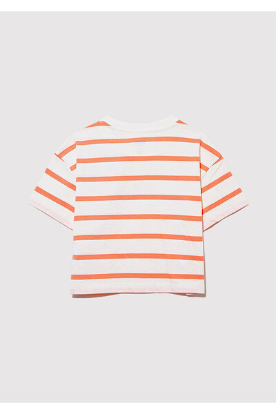 Mavi Πορτοκαλί ριγέ λογότυπο με στάμπα Crop T-shirt, Loose Relaxed Fit