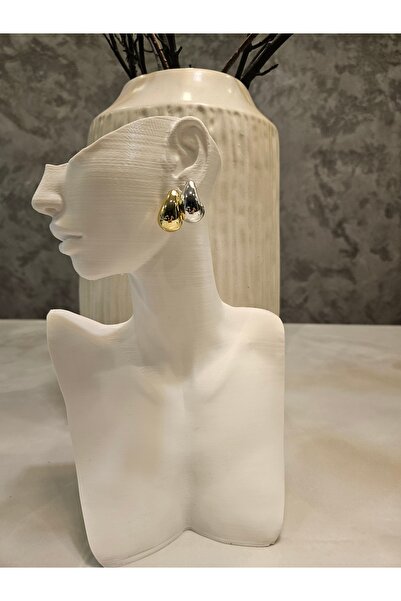 Alyas Aksesuar Silver and Gold Color 2 Pairs Drop Earrings Set