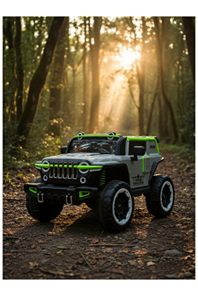 CAR Electric 4WD With 2Motors &12V4.5A Battery, RC 29-F593-GREY