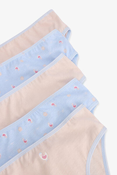 Penti Kız Çocuk Chicken Çiçekli Desenli Pamuklu 5'li Külot