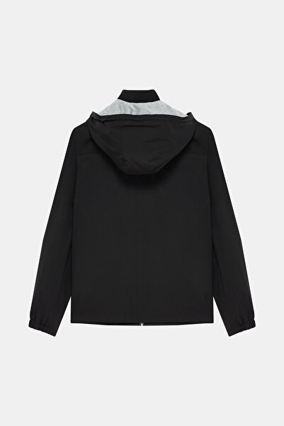 W Collection BLACK MONT