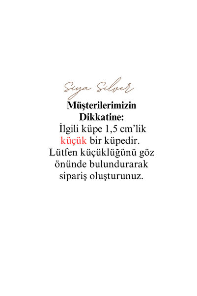 Siya Silver Özel Seri Kararmaz Çelik Zirkon Taşlı Delikli Minimal Halka Küpe - 1,5 cm