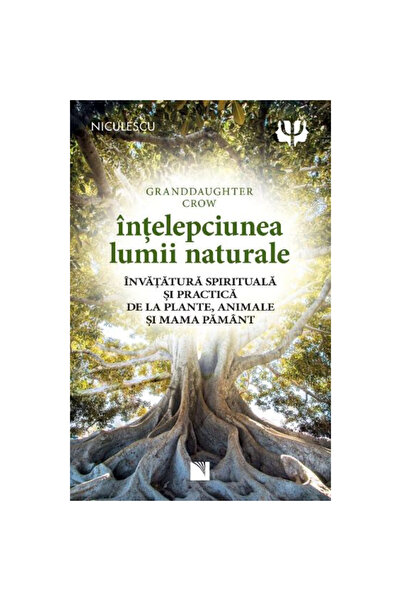 Niculescu The Wisdom of the World: Spiritual and Practical Teachings from Pla...
