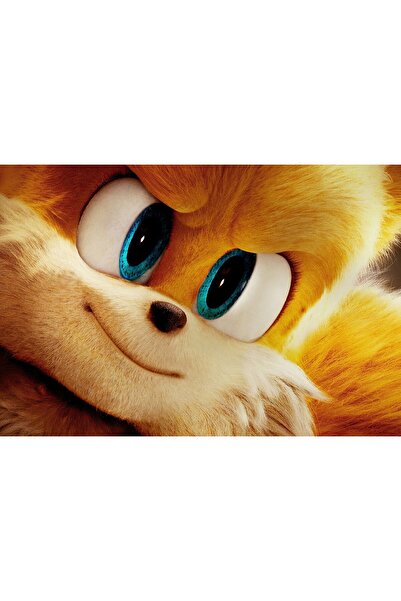 OEM Poster Miles Tails Prower Sonic Ariciul 2, 61x90cm, poster464, Zumzeria