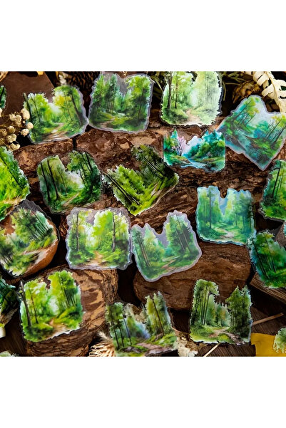 Kolbi Craft 30 قطعة من ملصقات المناظر الطبيعية الخضراء الشفافة لدفتر الملاحظا...