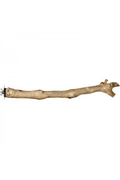 Prevue Branch Coffea Wood Perch for Birds - (18 inch)