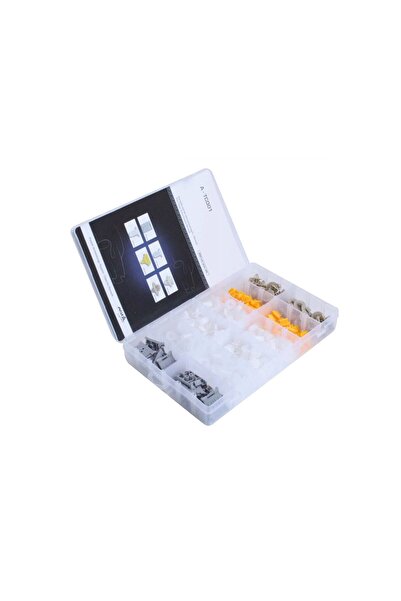 ASTA Set of car clamps, bumpers, car plastic fixing clips, compatible with Renault, 300 pieces,