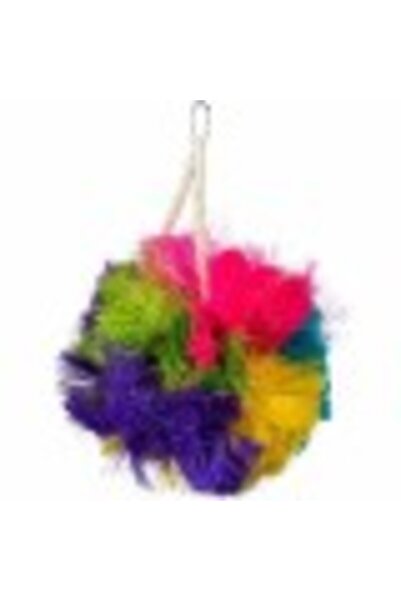 Prevue Tropical Teasers Krusty bird toy