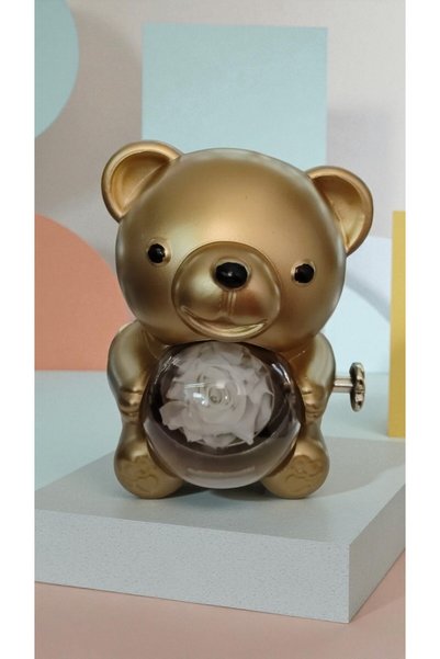 FAMEMUS ACCESSORY Sonsuz Ayıcık Sevgililer Günü Doğum Günü Hediyelik Ürün Boyutu 17 cm