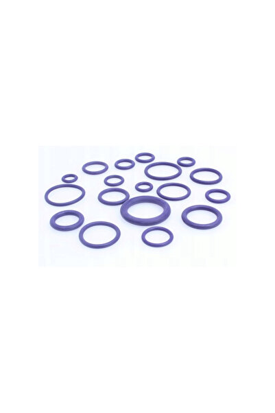 ASTA O-ring seal set, 270 pieces, zero ring,