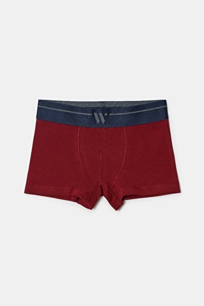 Woody boxeri -Qlm - 031 Combo Pony 1