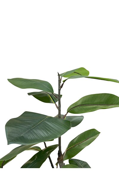 Casco Artificial plant, 150cm tall, with an elegant round pot