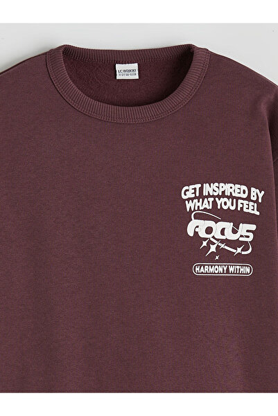 LC Waikiki Printed Boys' Thick Sweatshirt