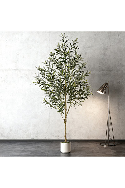 SCHENKERO شجرة زيتون اصطناعية مع وعاء أبيض أنيق، للاستخدام الخارجي، جذع من الخشب الطبيعي وفواكه صناعية، 180 سم